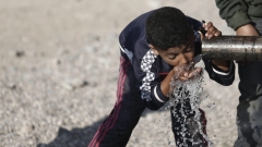 Изображение 230242