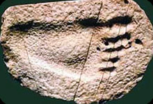 В Китай намериха непознат за науката първобитен човек