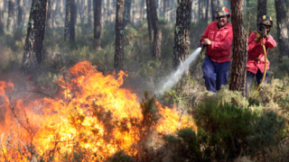 Португалия се бори с 15 пожара 