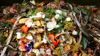Американците изхвърлят около 150 000 тона храна дневно 