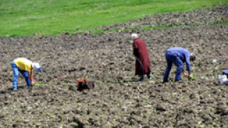 Измамници "броят" земеделски земи