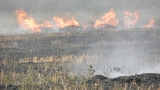  Европа е изправена пред все по-големи опасности от горски пожари 