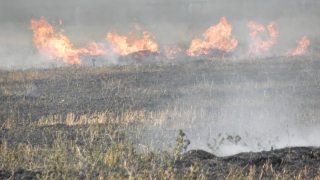 Сухи треви горят край пловдивските села Бенковски, Царацово и Радиново