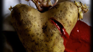 Засякоха „незаконни” ГМО картофи в Швеция