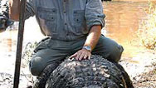 Хиляди крокодили избягаха от ферма във Виетнам