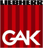 Австрийски шампион пред нов банкрут