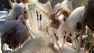 Жълт код за ниски температури в цялата страна