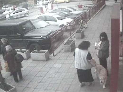 СКАНДАЛНО: Крадат домашни кучета в София (СНИМКИ)
