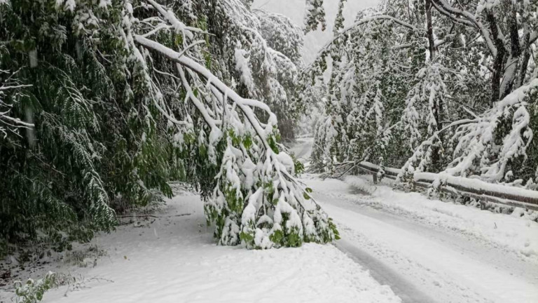 Изображение 734942