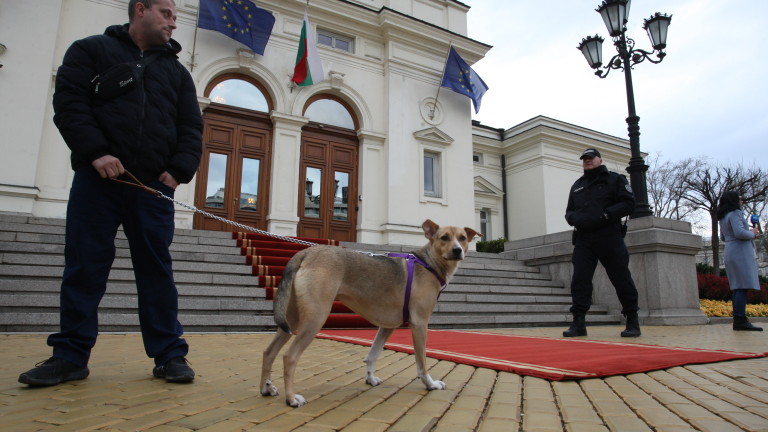 Двете големи формации в родния парламент (ГЕРБ/СДС и Продължаваме промяната/Демократична