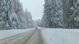  Катастрофи, сняг и паднали дървета затвориха проходи и основни пътища 