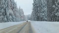 Катастрофи, сняг и паднали дървета затвориха проходи и главни пътища