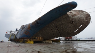 Откритите човешки останки в потъналия ферибот в Южна Корея се оказали на прасе