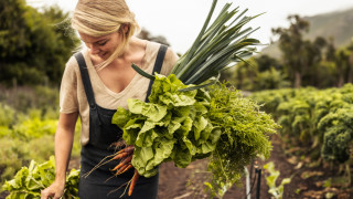Източно от Амстердам в предградието Алмере се развива един от