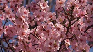 През настоящето денонощие ще има значителна висока облачност Ще духа