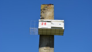 Нови 40 изкуствени гнездилки за белошипи ветрушки са поставени от