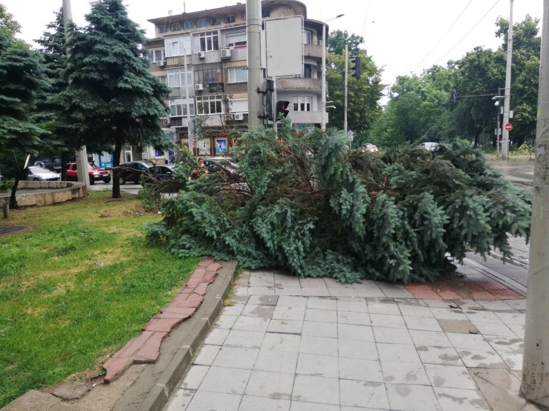 Снимка 576542