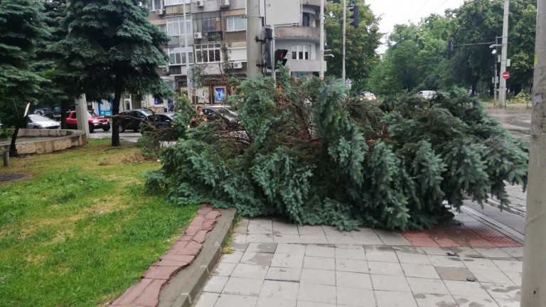 Изображение 576542