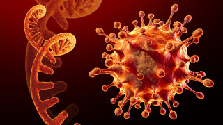 Признаха "британския" щам на коронавируса за по-смъртоносен 
