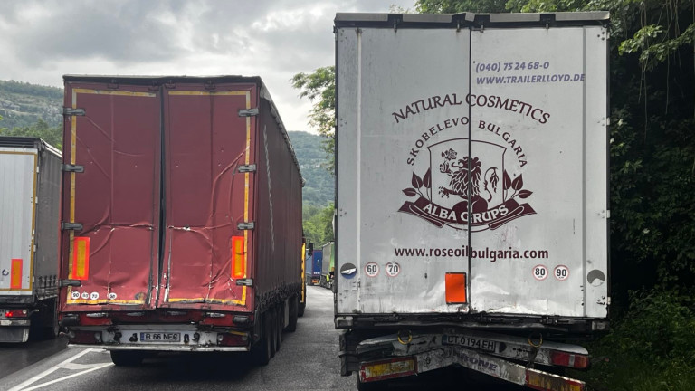 Изображение 667042