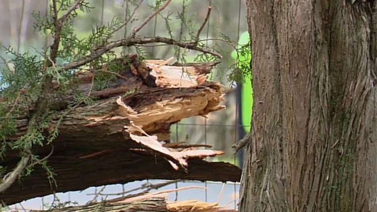 Изображение 747242