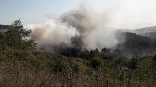 Санкционират община Дупница за установени нарушения на закритото депо съобщават