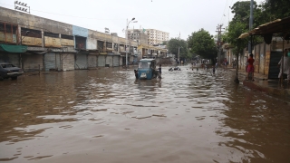 Десетки жертви на наводненията в Пакистан