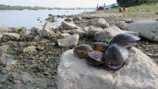 Общинският съвет в Поморие ще гласува протестна декларация срещу изграждането
