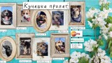 Откриват тазгодишната инициатива "Подари си приятел" в събота