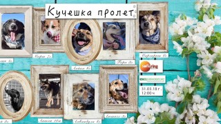 Тазгодишната инициатива на Екоравновесие Подари си приятел се открива