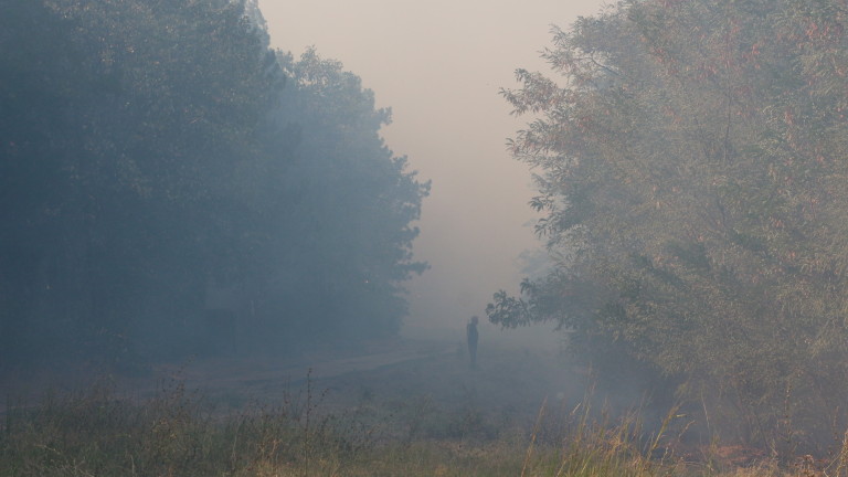 Изображение 308342