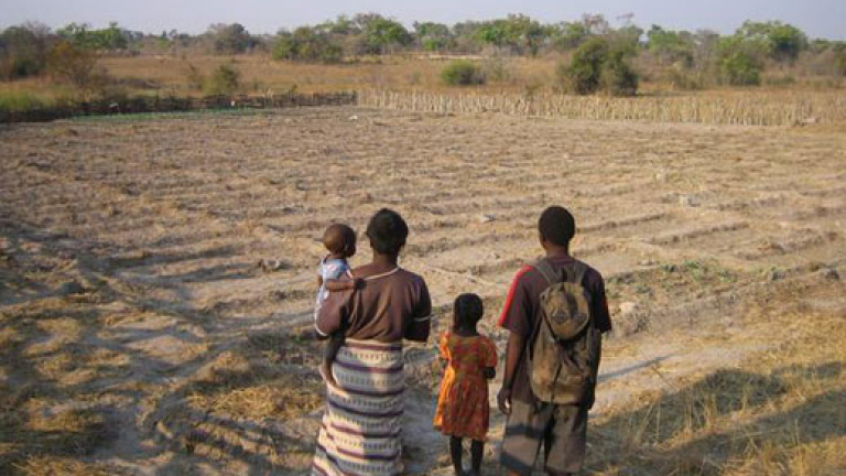 Изображение 19142