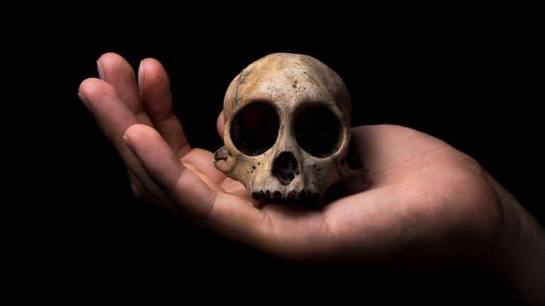 Instagram на изчезващите видове