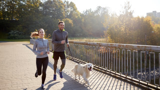 Да си собственик на куче е голяма отговорност А като