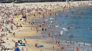За 8 плажа търсят концесионери с евтини чадъри и шезлонги