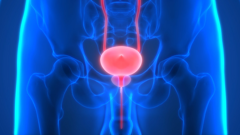 Ноември срещу рака на простатата 