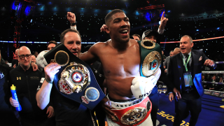 Световният шампион в тежка категория за професионалисти във версиите WBA