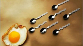 Пържените яйца убиват сперматозоидите