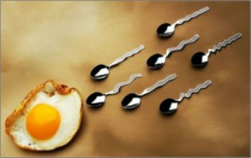 Пържените яйца убиват сперматозоидите