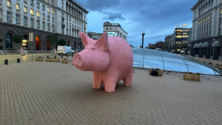 Членове и симпатизанти на Продължаваме промяната поставиха прасе касичка пред