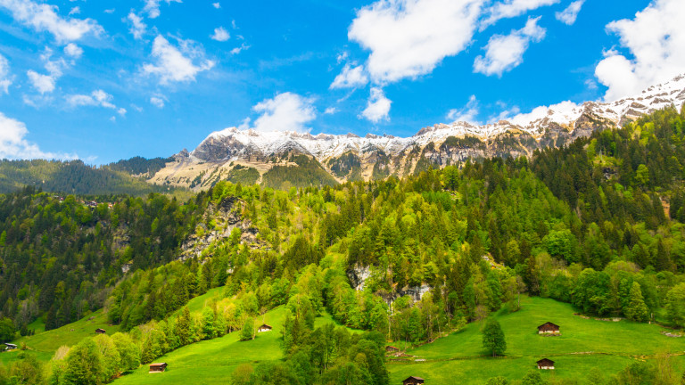 Около 20 души са загинали при катастрофа с малък самолет