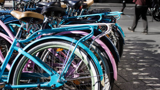 През 2019 г в Европейския съюз са произведени над 11 4