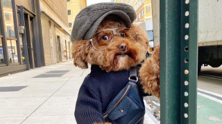 Социалните мрежи направиха известни не само много хора но и
