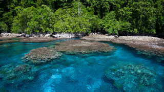 Океанът погълна пет от Соломоновите острови