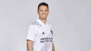 Бившият нападател на Манчестър Юнайтед Хавиер Чичарито Ернандес предложи да