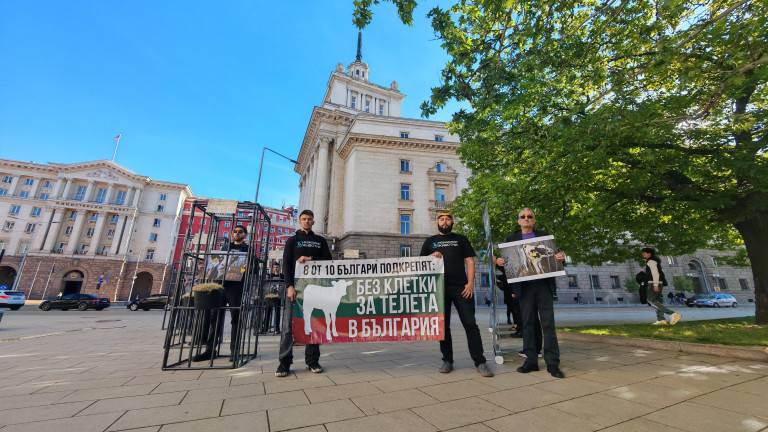 Хора влизат в клетки пред депутатите: Протест показва скъпо ли е щастието на телетата?