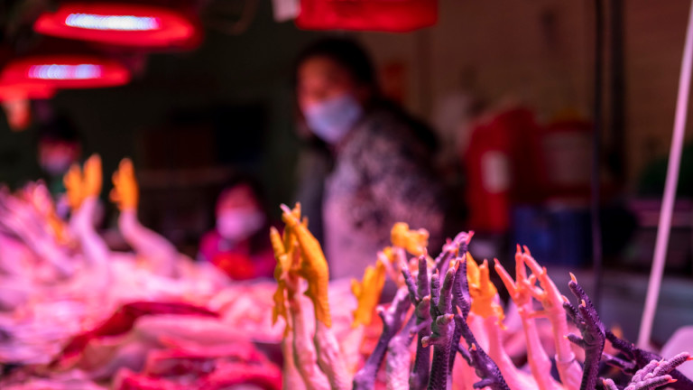 Китай съобщи за първи случай в света на птичи грип H10N3, поразил човек
