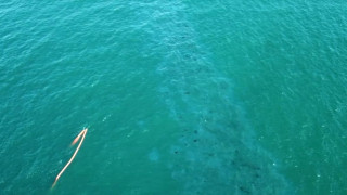 Мазут изплува на плажа Харманите край Созопол предаде БНТ За това