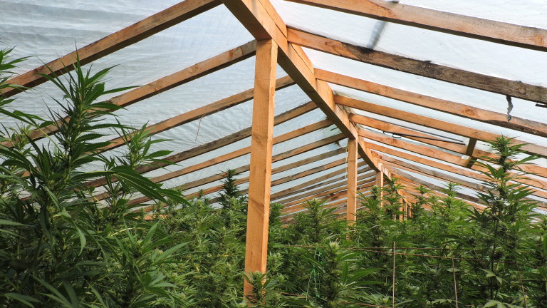 Изображение 443643