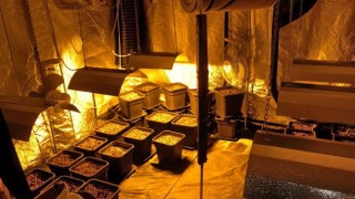 Криминалистите в Ямбол разбиха модерна наркооранжерия за отглеждане на канабис
